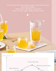 Portable USB Rechargeable Smoothie Blender