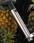 Stainless Steel Pineapple Slicer